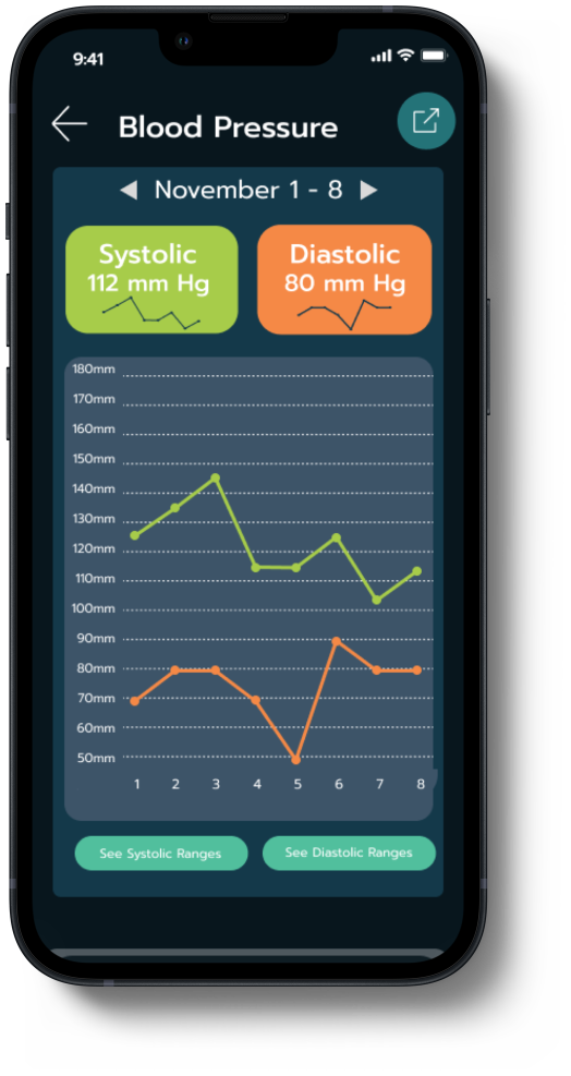 Blood Pressure Detailed